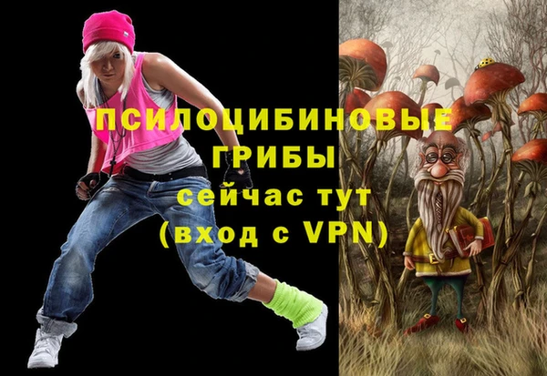 тгк Надым