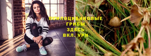 тгк Надым